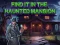 Peli Find It In The Haunted Mansion verkossa
