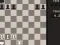 Peli Fun Chess Puzzles! verkossa