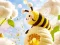 Peli Find The Differences: Little Bee's Adventure verkossa