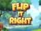 Peli Flip It Right verkossa
