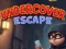 Peli Undercover Escape verkossa