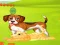 Peli Bunny Key Quest verkossa