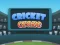 Peli Cricket Craze verkossa