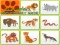 Peli Wild Animals Kids Memory game verkossa