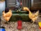 Peli Poultry Farm Easter Escape verkossa