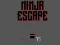 Peli Ninja escape verkossa