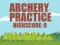 Peli Archery Practice verkossa
