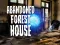 Peli Abandoned Forest House verkossa