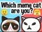Peli Which Meme Cat Are You? verkossa