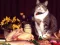 Peli Funny Cats Puzzle verkossa
