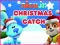 Peli Nick Jr. Christmas Catch verkossa