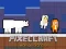 Peli PixelCraft Animal School verkossa