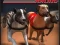 Peli Greyhound Racing verkossa