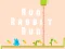 Peli Run Rabbit Run verkossa