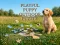 Peli Playful Puppy Outdoor Puzzle verkossa