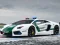 Peli Police Cars Jigsaw Puzzle verkossa