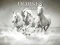 Peli Horses Puzzle verkossa
