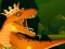 Peli The Dino King verkossa