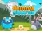 Peli Bunny Storm verkossa