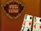 Peli Spider Solitaire verkossa