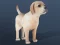Peli IDLE Pet verkossa