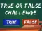 Peli  True Or False Challenge verkossa