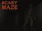 Peli Scary Maze verkossa