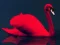 Peli Love Birds Puzzle verkossa