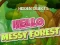 Peli Hidden Objects Hello Messy Forest verkossa
