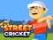 Peli Street Cricket verkossa