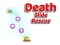 Peli Death Slide Rescue verkossa