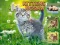 Peli Kittens Jigsaw verkossa