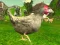 Peli Chicken Shooter verkossa