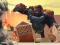 Peli Angry City Smasher verkossa