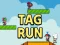 Peli Tag Run verkossa