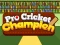 Peli Pro Cricket Champion verkossa