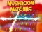 Peli Mushroom matching verkossa