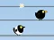 Peli Gone with the Birds verkossa