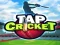 Peli Tap Cricket verkossa