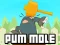 Peli Pum-Mole verkossa