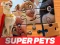 Peli DC League of Super Pets Jigsaw Puzzle verkossa