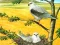 Peli Birds Of Prey Puzzle verkossa