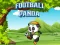 Peli Football Panda verkossa