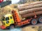 Peli Heavy Cargo Truck Driver verkossa
