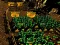 Peli Pixel Farm verkossa