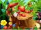 Peli Hidden Objects Insects verkossa