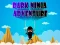 Peli Dark Ninja Adventure verkossa