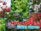 Peli Spring Flowers: Hidden Objects verkossa