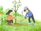 Peli Arbor Day Puzzle verkossa