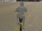 Peli Bicycle Simulator verkossa